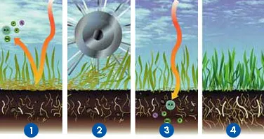 Untangle Your Lawn: Deciding Between Maintenance Dethatching and Power Raking