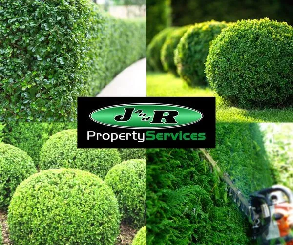 Time the Trim: When to Trim Your Shrubs in Upstate, NY