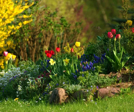 Lazy Gardener's Guide to Effortless Weed Control: The Preen and Round Up Method