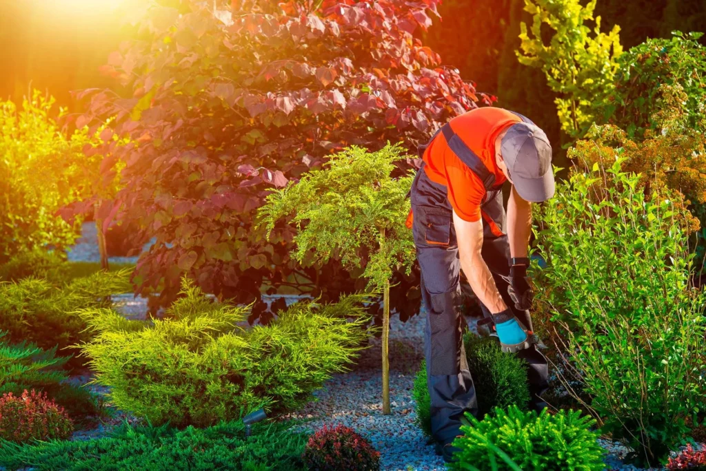 Green Jobs: Why J and R is the Place to Be