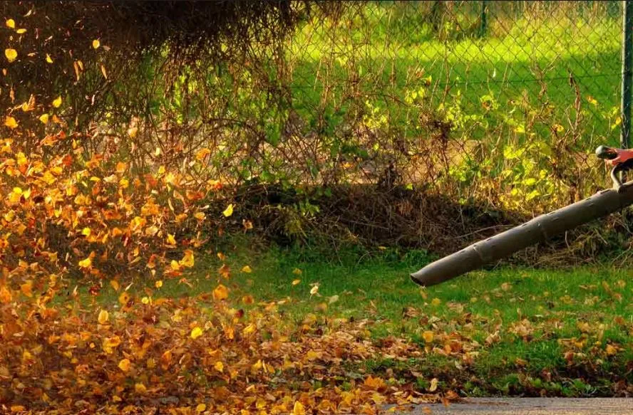leafblowing