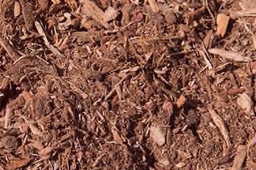 hemlock mulch